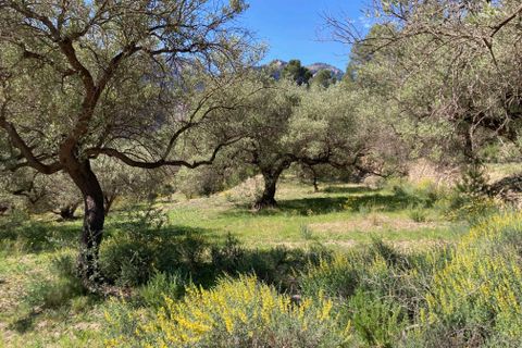 Landejendom i El Perello, Tarragona, El Perello - € 36.000 | Ref: Finca Montanas - foto 20